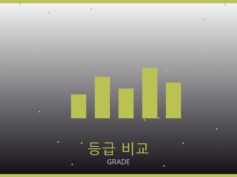 긴팔 레플리카 등급 기준 비교